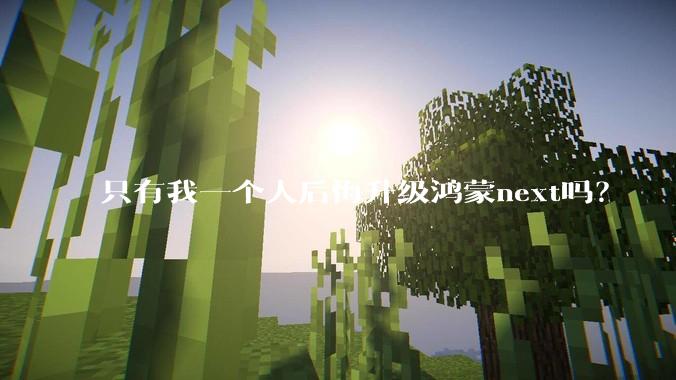 只有我一个人后悔升级鸿蒙next吗？