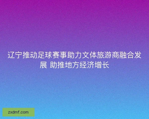 辽宁推动足球赛事助力文体旅游商融合发展 助推地方经济增长